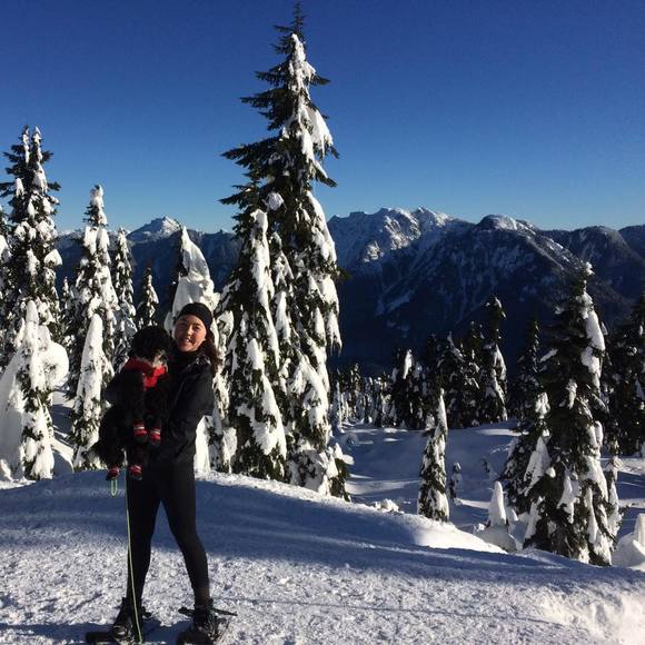 Meet your Posher, Kylie - Picture 1 of 1